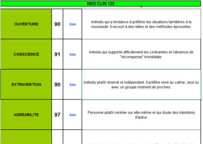 Rapport chiffré et écrit de chaque domaine et facette de personnalité (1)