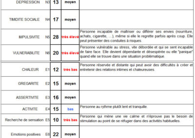 Rapport chiffré et écrit de chaque domaine et facette de personnalité (2)