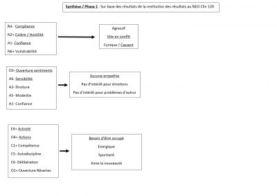 Synthèse - Phase 1 - Sur base des résultats de la restitution des résultats au NEO Clin 120